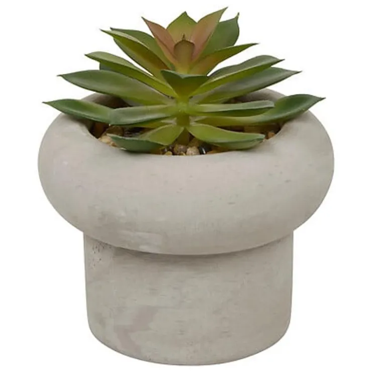 Sale Succulente pot beton