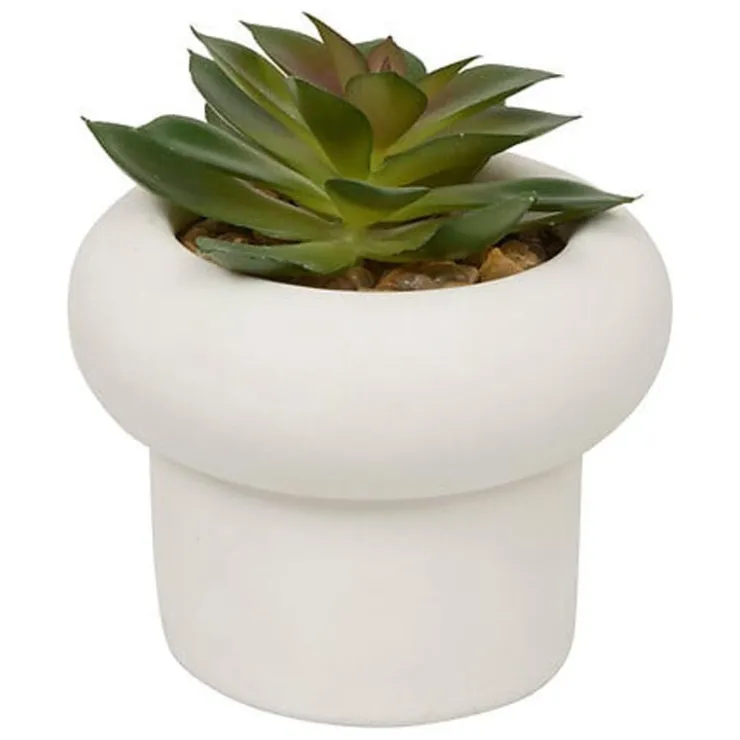 Sale Succulente pot beton