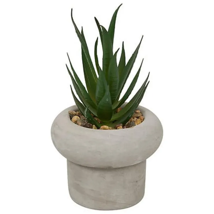Sale Succulente pot beton