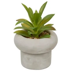 Sale Succulente pot beton