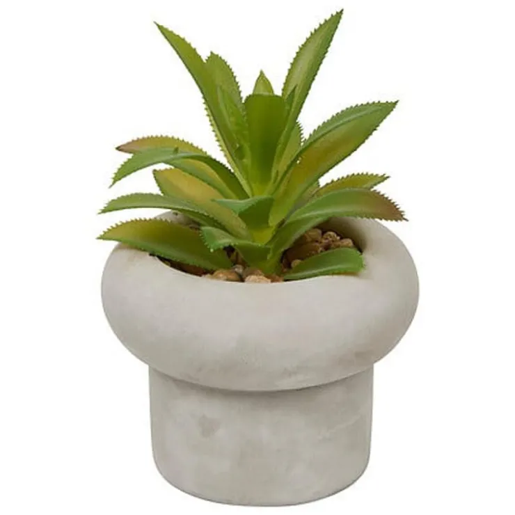 Sale Succulente pot beton