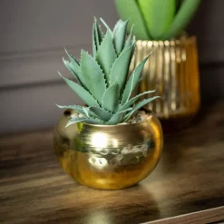 TROPICAL PARADISE Succulente pot or