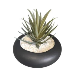 Clearance FLOURISH Succulente pot rond