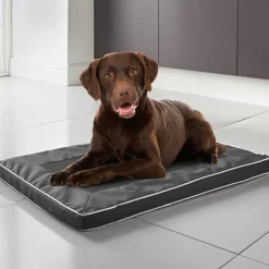 Outlet CHILLI PAWS Tapis pour chien ventile