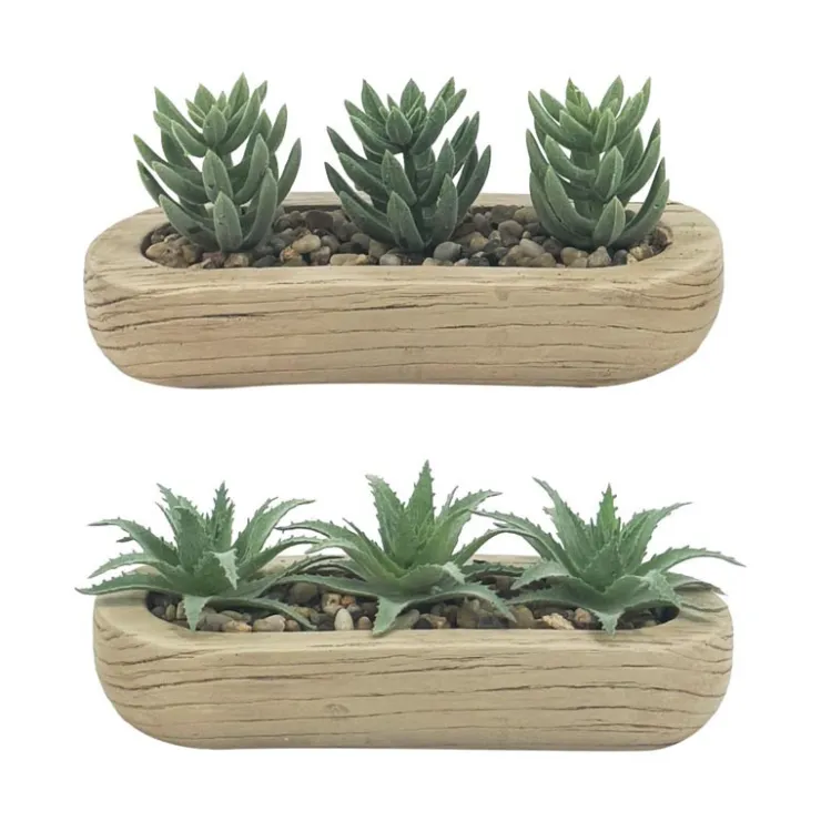 FLOURISH Trio succulentes