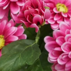 Clearance FLOURISH Zinnia artificiel en pot