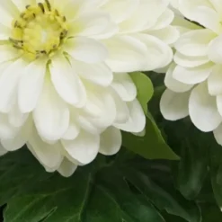 Clearance FLOURISH Zinnia artificiel en pot